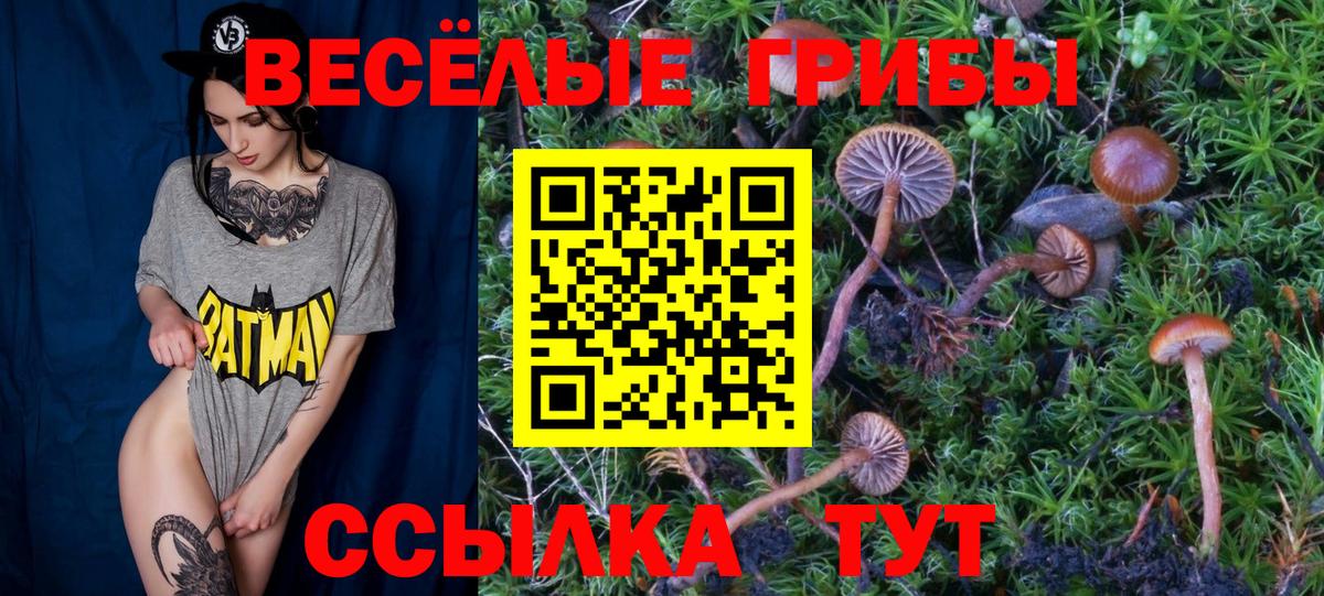 Ханты-Мансийск  что такое наркотик  Вход с VPN  Галлюциногенные грибы прущие грибы 